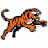 RIT Tigers 2004-Pres Alternate Logo Light Iron-on Stickers (Heat Transfers)