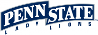 Penn State Nittany Lions 2001-2004 Wordmark Logo Light Iron-on Stickers (Heat Transfers) 3