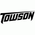 2004-Pres Towson Tigers Wordmark Logo Light Iron-on Stickers (Heat Transfers)