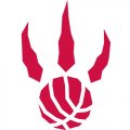 Toronto Raptors Alternate Logo  Light Iron-on Stickers (Heat Transfers) version 1