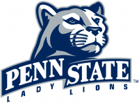 Penn State Nittany Lions 2001-2004 Alternate Logo Light Iron-on Stickers (Heat Transfers) 7