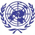 United Nations logo light t shirt iron on transfer