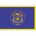 Texas State Flag Light Iron On Stickers (Heat Transfers)