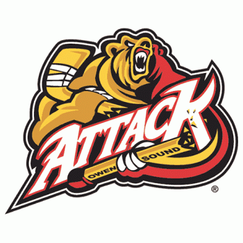 1999 00-2010 11 Owen Sound Attack Primary Logo Light Iron-on Stickers (Heat Transfers)