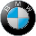 BMW logo Light Iron On Stickers (Heat Transfers)