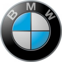 BMW logo Light Iron On Stickers (Heat Transfers)