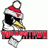 1989-Pres Youngstown State Penguins Primary Logo Light Iron-on Stickers (Heat Transfers)