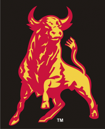 1981-Pres Belleville Bulls Alternate Logo Light Iron-on Stickers (Heat Transfers)