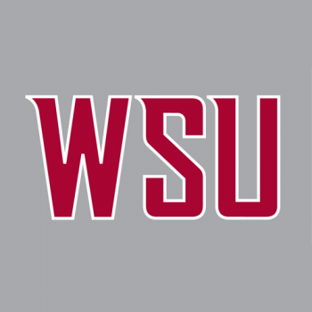 2011-Pres Washington State Cougars Wordmark Logo Light Iron-on Stickers (Heat Transfers)