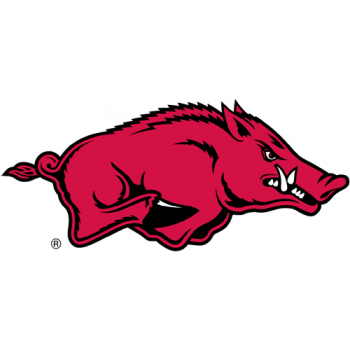 Arkansas Razorbacks 2001-Pres Primary Logo Light Iron-on Stickers (Heat Transfers)