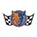 Charlotte Bobcats Alternate Logo  Light Iron-on Stickers (Heat Transfers) version 1