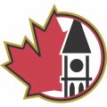 Ottawa Senators Alternate Logo  Light Iron-on Stickers (Heat Transfers)