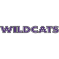 Abilene Christian Wildcats 1997-2012 Wordmark Logo1 Light Iron-on Stickers (Heat Transfers)