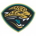 Jacksonville Jaguars Alternate Logo  Light Iron-on Stickers (Heat Transfers) version 1