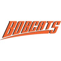 Charlotte Bobcats Script Logo  Light Iron-on Stickers (Heat Transfers) version 1