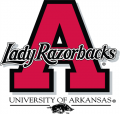 Arkansas Razorbacks 1998-2000 Alternate Logo Light Iron-on Stickers (Heat Transfers)