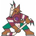 Phoenix Coyotes Alternate Logo  Light Iron-on Stickers (Heat Transfers) version 2