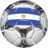 Argentina Soccer Light Iron-on Stickers (Heat Transfers)