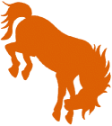 Texas-Pan American Broncos