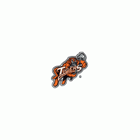 1998 99-2002 03 Medicine Hat Tigers Primary Logo Light Iron-on Stickers (Heat Transfers)