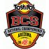 BCS Championship Game Primary Logos  Light Iron-on Stickers (Heat Transfers)