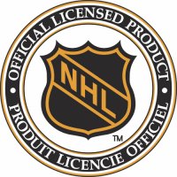 NHL Alternate Logo Light Iron-on Stickers (Heat Transfers) version 3