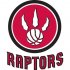 Toronto Raptors Alternate Logo  Light Iron-on Stickers (Heat Transfers) version 1