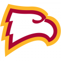 1995-Pres Winthrop Eagles Primary Logo Light Iron-on Stickers (Heat Transfers)