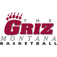 0-Pres Montana Grizzlies Wordmark Logo Light Iron-on Stickers (Heat Transfers)