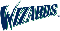 Fort Wayne Wizards wordmark logo (2005-pres)Light Iron-on Stickers (Heat Transfers) 01