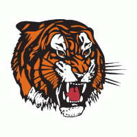 2003 04-Pres Medicine Hat Tigers Primary Logo Light Iron-on Stickers (Heat Transfers)