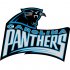 Carolina Panthers Alternate Logo  Light Iron-on Stickers (Heat Transfers) version 4