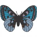 Butterfly Light Iron On Stickers (Heat Transfers) version 15