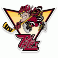 1999 00-2004 05 Peterborough Petes Alternate Logo Light Iron-on Stickers (Heat Transfers)