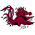 1983-Pres South Carolina Gamecocks Secondary Logo Light Iron-on Stickers (Heat Transfers)