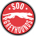 1999 00-2008 09 Sault Ste. Marie Greyhounds Primary Logo Light Iron-on Stickers (Heat Transfers)