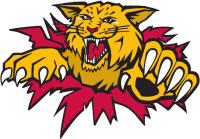 1996 97-Pres Moncton Wildcats Primary Logo Light Iron-on Stickers (Heat Transfers)