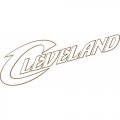 Cleveland Cavaliers Script Logo  Light Iron-on Stickers (Heat Transfers) version 3