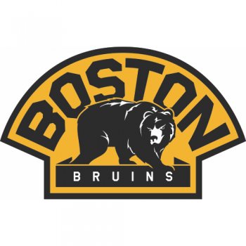 Boston Bruins Alternate Logo  Light Iron-on Stickers (Heat Transfers) version 2