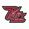 2002 03-Pres Peterborough Petes Alternate Logo Light Iron-on Stickers (Heat Transfers)