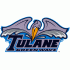 1998-Pres Tulane Green Wave Alternate Logo Light Iron-on Stickers (Heat Transfers)