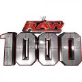 WWE Logo Light Iron-on Stickers (Heat Transfers) N2936