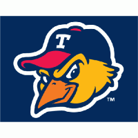 Toledo Mud Hens cap logo(2006-pres) Light Iron-on Stickers (Heat Transfers) 01