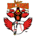 Rochester Red Wings primary logo(19---pres)Light Iron-on Stickers (Heat Transfers) 01