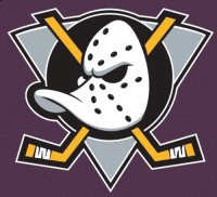 Anaheim Ducks Alternate Logo  Light Iron-on Stickers (Heat Transfers)