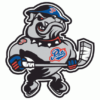 2000 01-Pres Regina Pats Alternate Logo Light Iron-on Stickers (Heat Transfers)