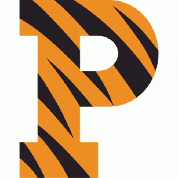 1984-Pres Princeton Tigers Primary Logo Light Iron-on Stickers (Heat Transfers)