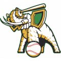 Oakland Athletics Alternate Logo  Light Iron-on Stickers (Heat Transfers)