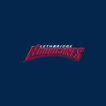 2009 10-2010 11 Lethbridge Hurricanes Alternate Logo Light Iron-on Stickers (Heat Transfers)