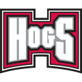 Arkansas Razorbacks 2001-2008 Wordmark Logo3 Light Iron-on Stickers (Heat Transfers)